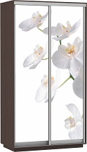 Шкаф-купе 2-х дверный Орхидея